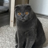Telegram profile photo for Фото баттл
