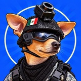Telegram profile photo for comandotoken