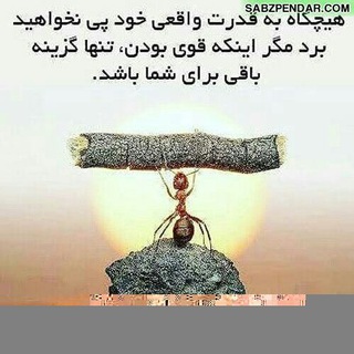 Telegram profile photo for 🖌قلم مثبت positive pen!🖌