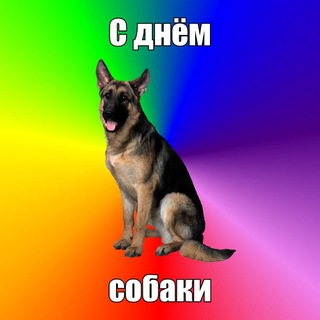 Telegram profile photo for Макака