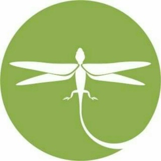 Telegram profile photo for La libertija