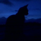 Telegram profile photo for 𝖺𝖽𝗌