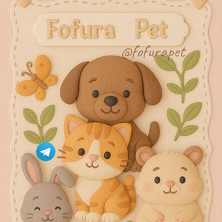 Telegram profile photo for ๐พ โปโโโคโกโ โ
โโฃ ๐พ