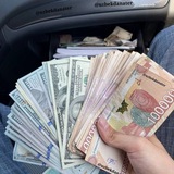 Telegram profile photo for Uzbek Danater