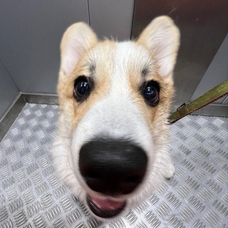 Telegram profile photo for ЧАТ СЕРЕГИ 🅰️4️⃣