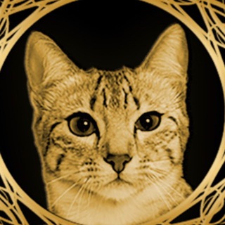 Telegram profile photo for CATCOIN (XCT) Group Chat