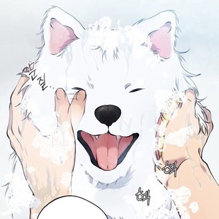 Telegram profile photo for vp 金木研