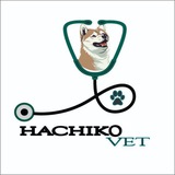Telegram profile photo for Hachiko Vet(የእንስሳት ህክምና )
