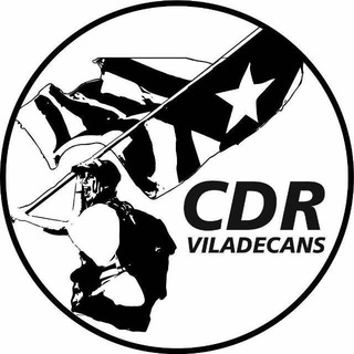 Telegram profile photo for CDR Viladecans