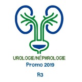 Telegram profile photo for Néphrologie/Urologie