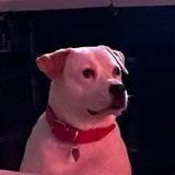 Telegram profile photo for Будни Голливуда