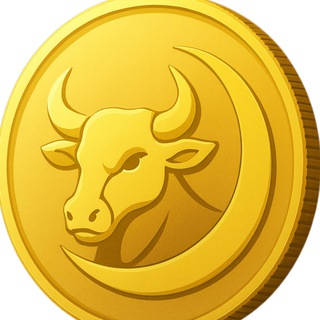 Telegram profile photo for BullMoon Group