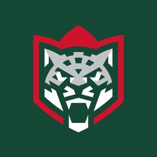 Telegram profile photo for ХК «АК БАРС» | КАЗАНЬ