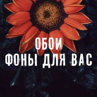 Telegram profile photo for β₯οΈπΆπππ, ππππππππ, ππππ