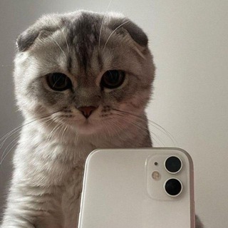 Telegram profile photo for Сила в девках💕