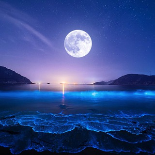 Telegram profile photo for Лунные Пузырьки|комиксы Bubble (Баббл)