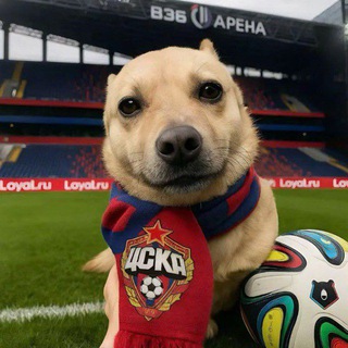 Telegram profile photo for Футбольный КПД