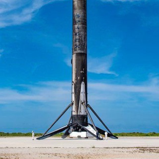 Telegram profile photo for ELON TWEETED CALLS