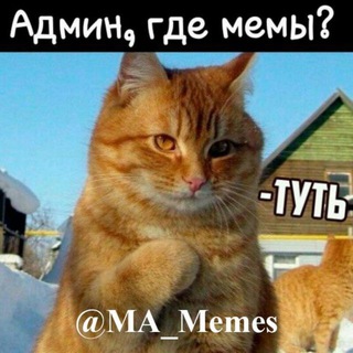 Telegram profile photo for Мемный Канал 😂😹 | MA