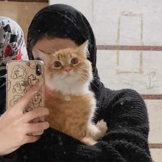 Telegram profile photo for «پەیامی خودا»