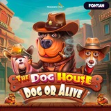 Telegram profile photo for Super Slots казино мобильная версия слотов