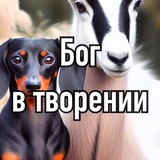 Telegram profile photo for Бог в творении