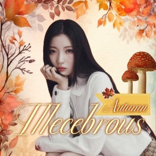 Telegram profile photo for — k-news ➜ i͟l͟l͟e͟c͟e͟b͟r͟o͟u͟s͟