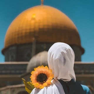Telegram profile photo for Znkhaki Art