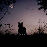 Telegram profile photo for π«ππππ π
πππ