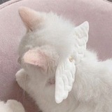 Telegram profile photo for info meow games