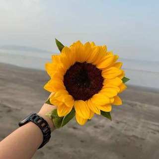 Telegram profile photo for آفتابگردون