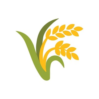 Telegram profile photo for USDT FARM ANNOUNCEMENT