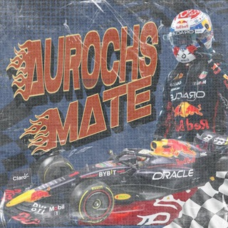 Telegram profile photo for Aurochsmate — OPEN