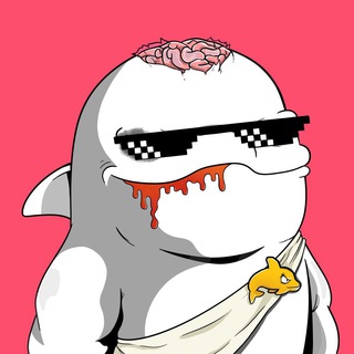 Telegram profile photo for Crypto Dolphins™ Announcements