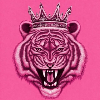 Telegram profile photo for O_N_V Wooman 👸🏻