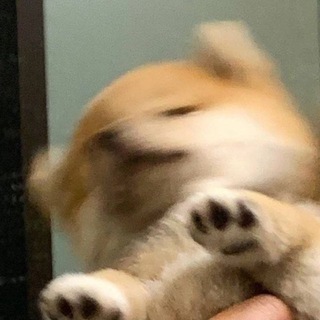 Telegram profile photo for LEO 加密小天地 小頻道