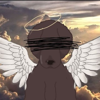 Telegram profile photo for 🌈ОБЛАЧНАЯ ПСИНА💌PDB|☁️|ESSAS🌬️ (2 тгк)