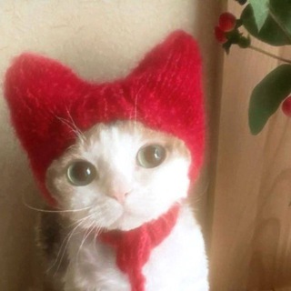 Telegram profile photo for полянка клюквы
