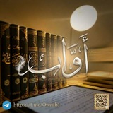 Telegram profile photo for أَوَّابٌ.