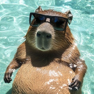 Telegram profile photo for Nova Era Capivaras — chat 2.0
