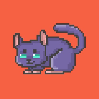 Telegram profile photo for TON Chinchillas NFT RUS