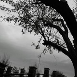 Telegram profile photo for Globe Of Gloom