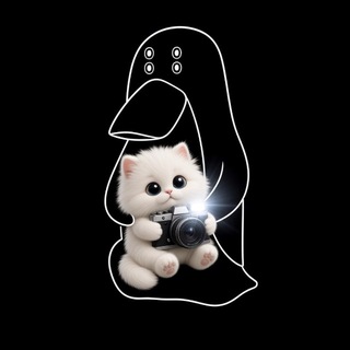 Telegram profile photo for The Collection