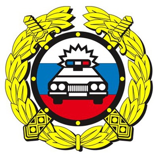 Telegram profile photo for DPS_VL