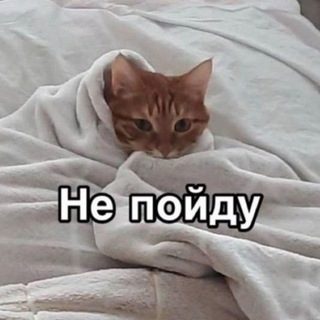 Telegram profile photo for Самый красивый нарцисс