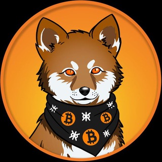 Telegram profile photo for LOBO•THE•WOLF•PUP 🐺