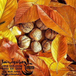 Telegram profile photo for میاندوآب نهال رجبی