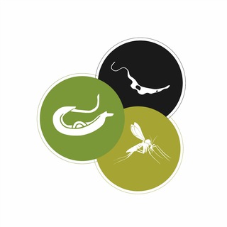 Telegram profile photo for CONBRAPAH