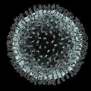 Telegram profile photo for Coronavirus: Visualization and Analytics