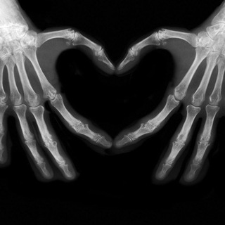 Telegram profile photo for Radiological Anatomy